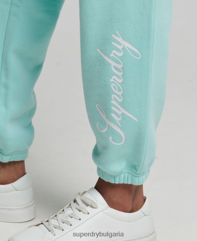 Superdry облекло N00H6591 син Жени сценарий графичен гадже джогинг