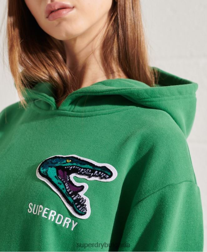 Superdry облекло N00H6052 зелено Жени модерен франчайз голям суичър с качулка
