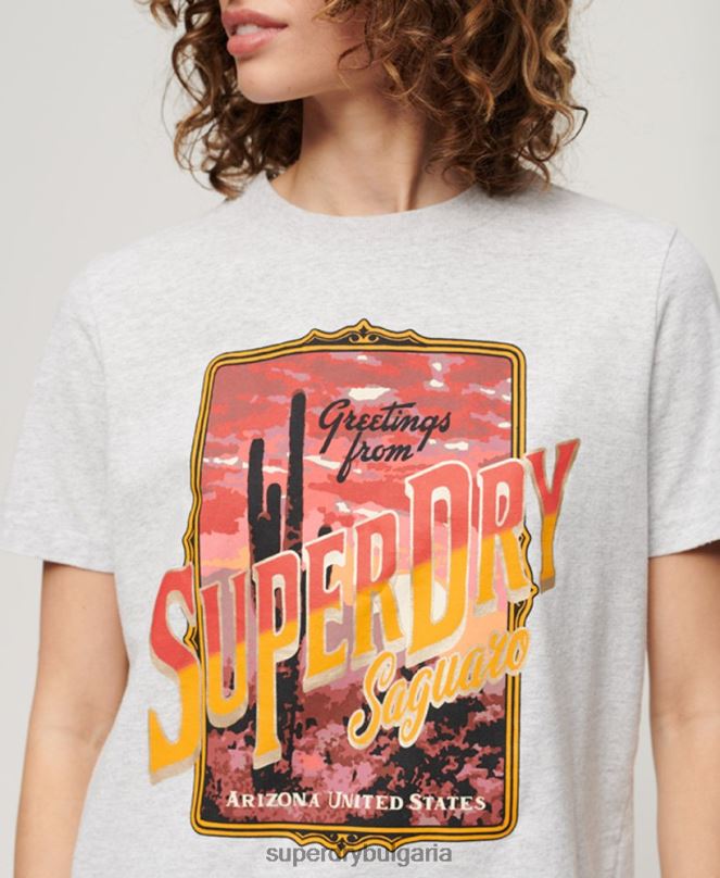 Superdry облекло N00H2622 сиво Жени сувенирна графична тениска за пътуване